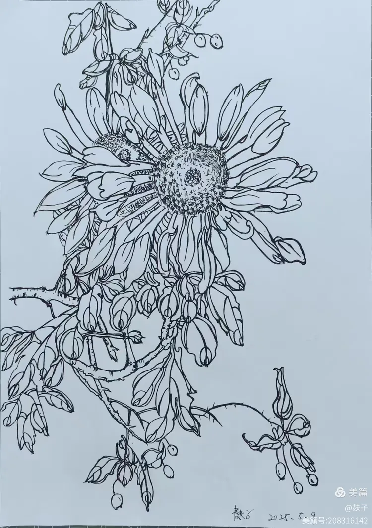 悉数时光之次第花开